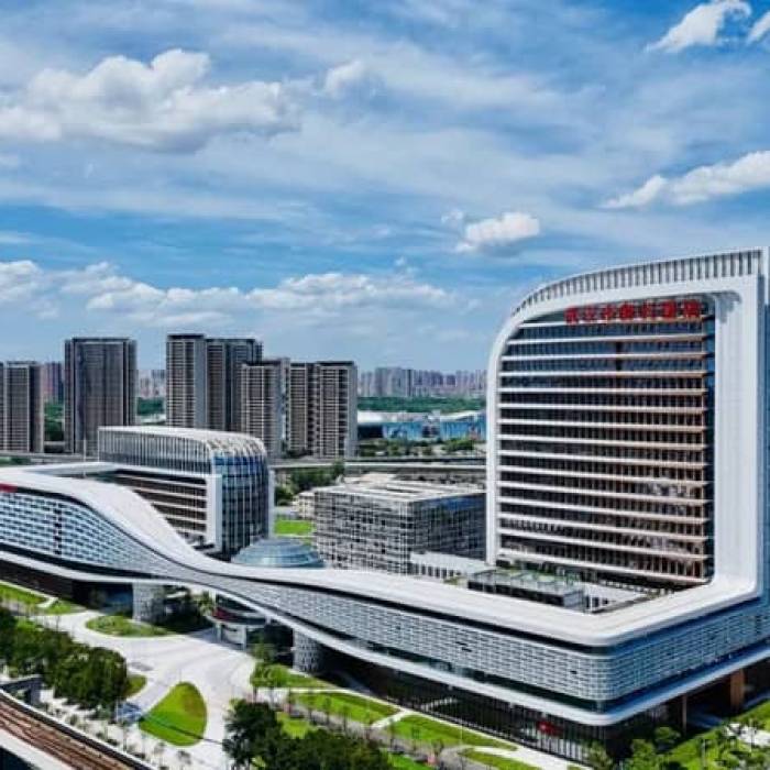 Wuhan Pulmonary Hospital