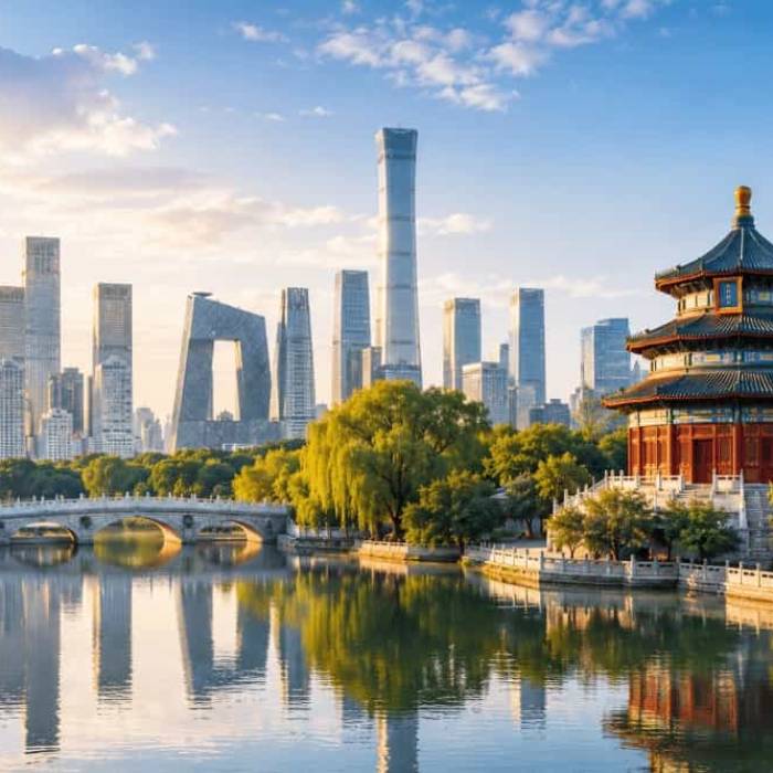 Traditional Chinese Medicine Therapy and Rehabilitation Services in Beijing