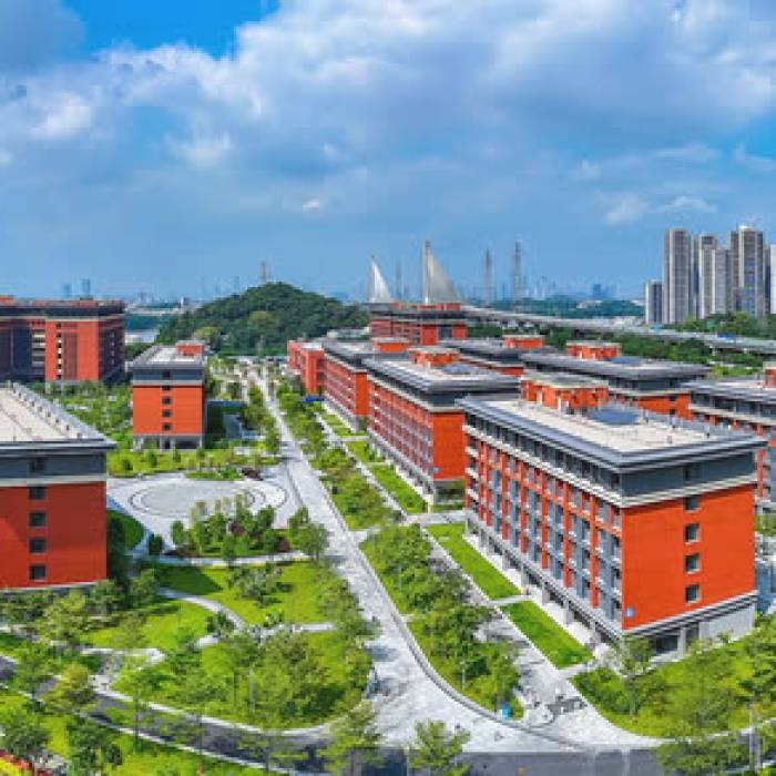 Brain Hospital Affiliated to Guangzhou Medical University
